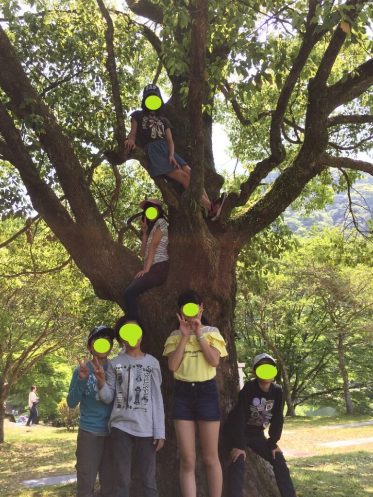 グリーンパル日向神峡にある木。木登りに最適。枝も太くて登りやすい。